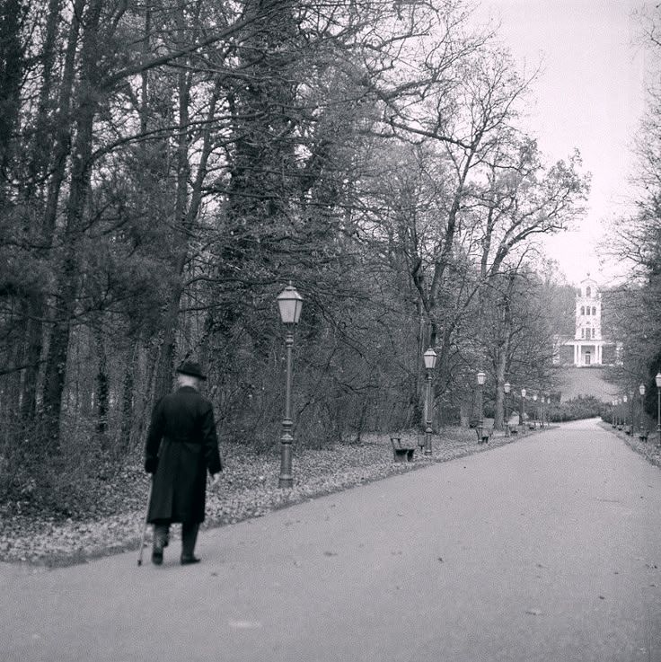 Park Maksimir 1981. godine